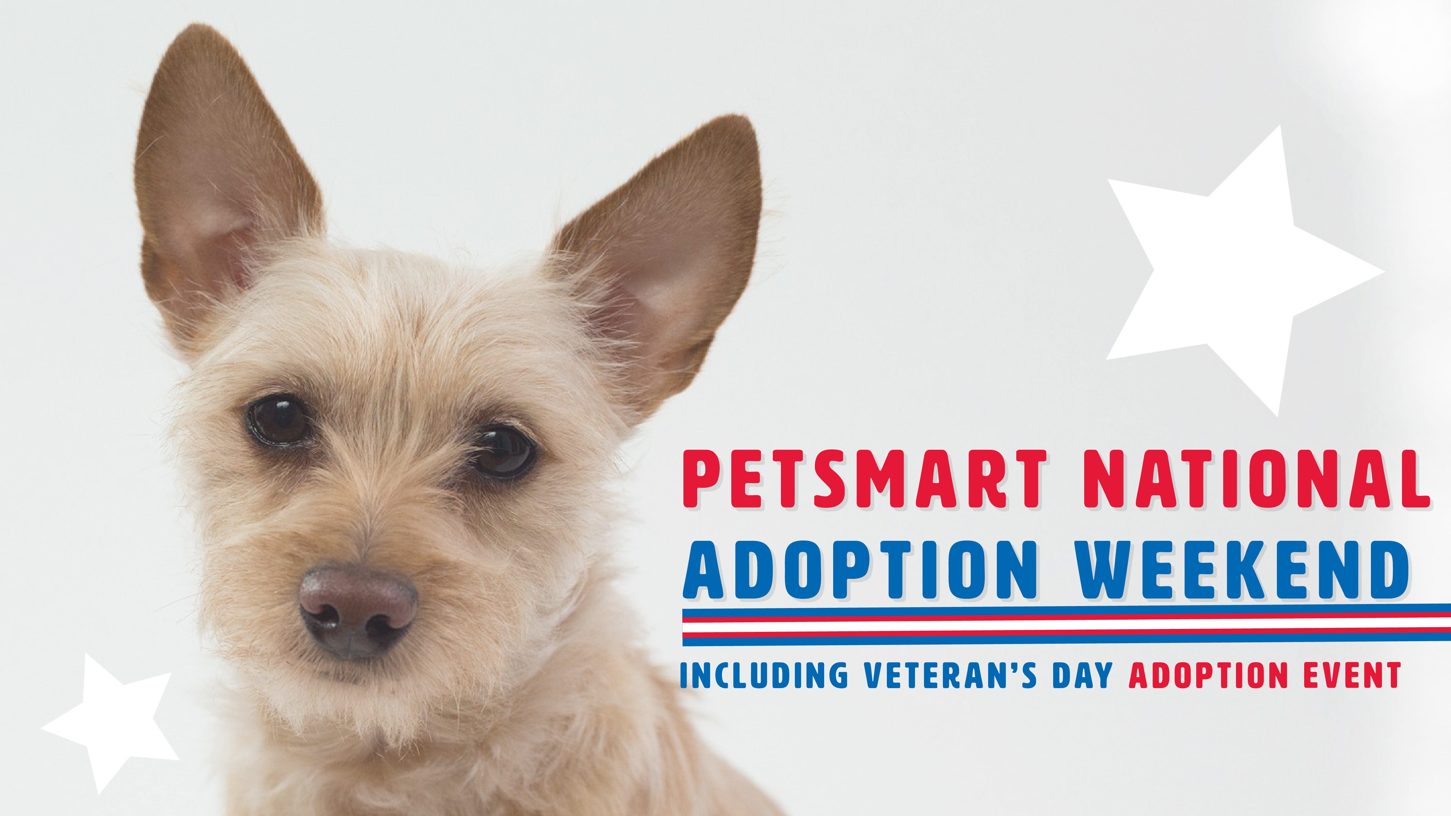 Petsmart Adoption Event